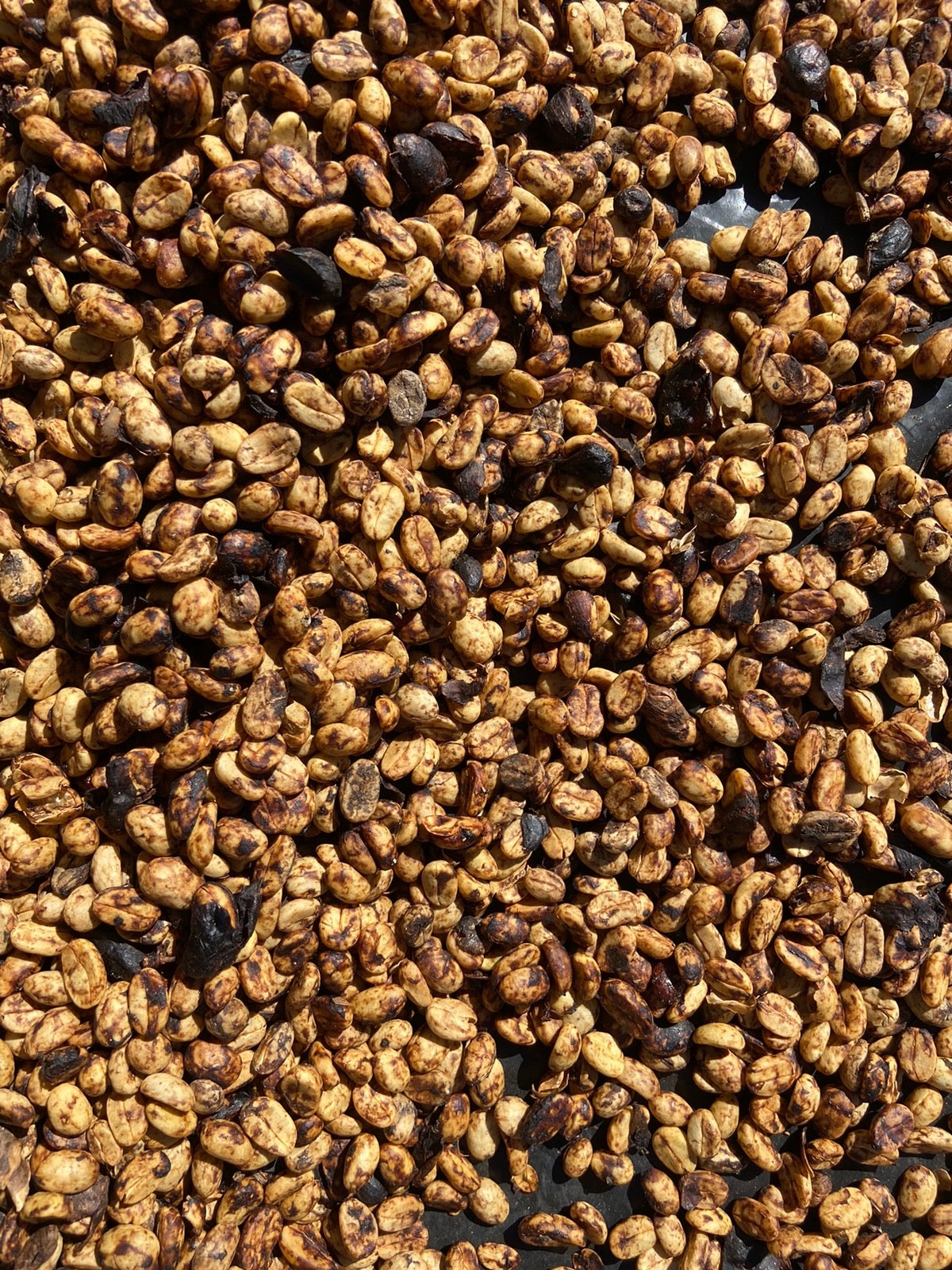 Koatepec Grain Honey 250gr